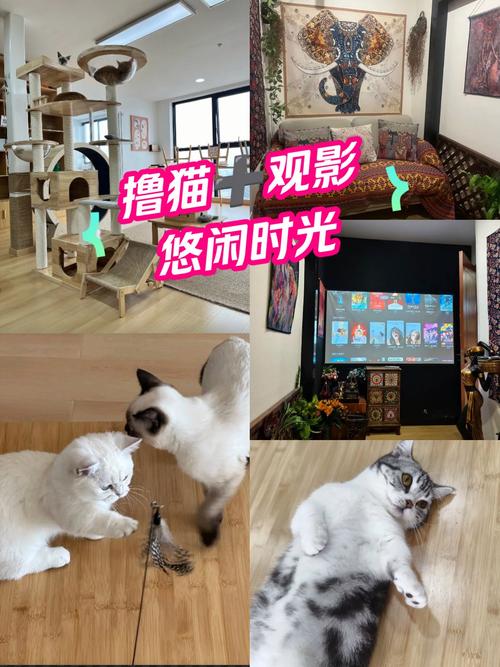 老司机影院福利推荐：2025最新高清无码资源在线观看，免费VIP通道畅享午夜剧场
