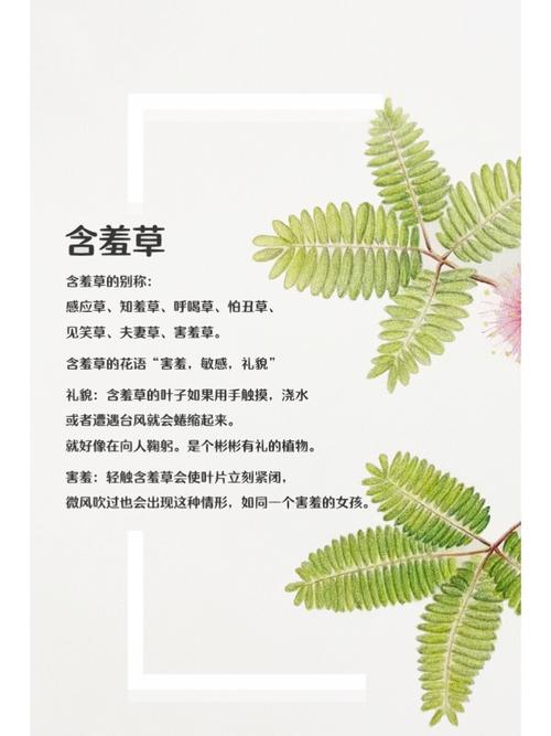 色盈盈影院的相关介绍