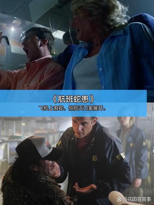 光影之约·城市影讯｜2025热门新片排期+特惠购票+IMAX厅推荐