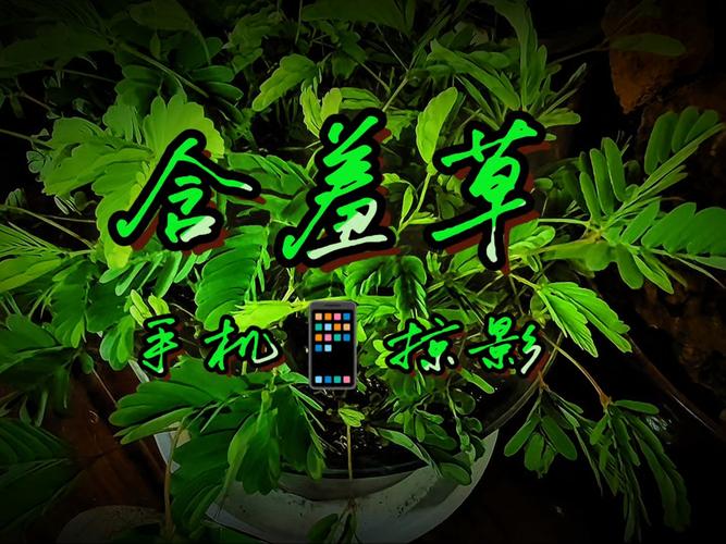 光棍电影院2017最新电影推荐：一个人也能看的经典大片与冷门佳片盘点
