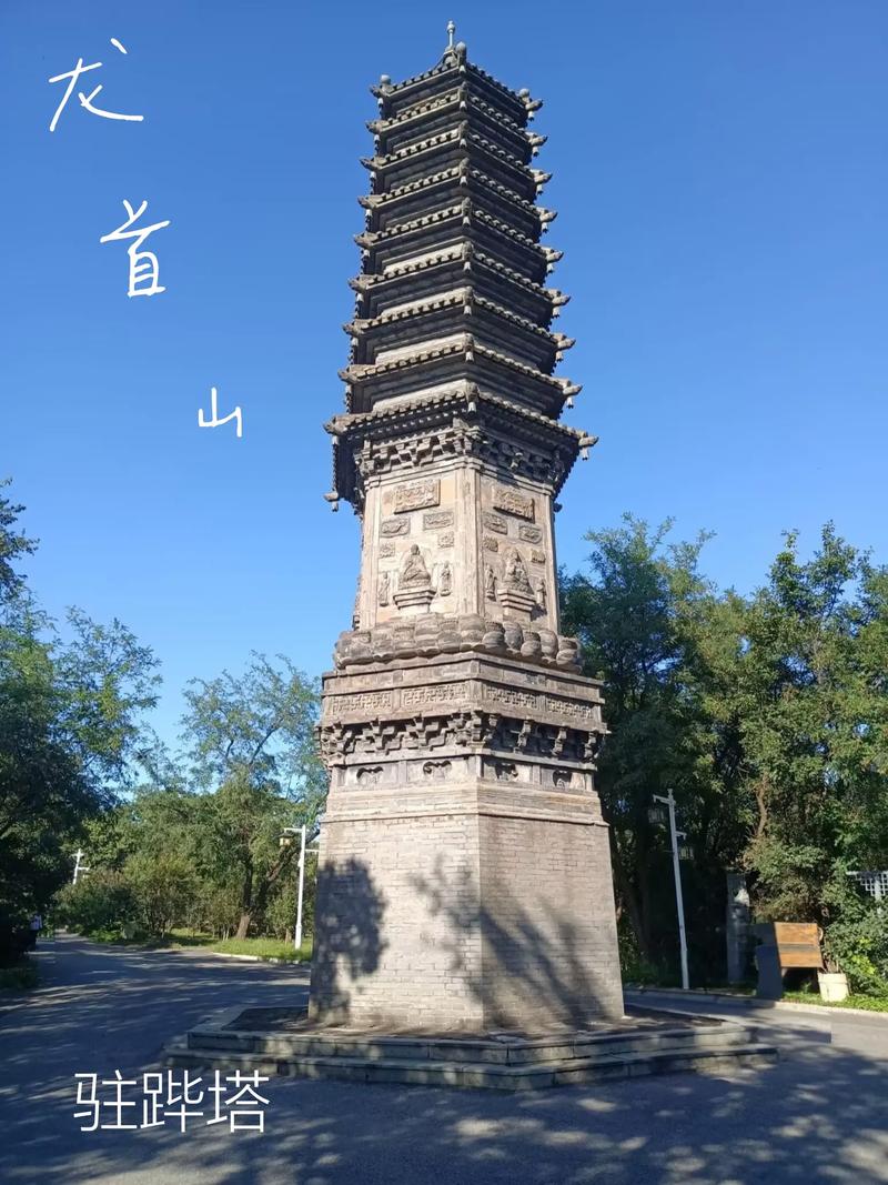 成年人性生活毛片的相关介绍
