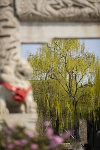 yy6080青苹果影院手机版在线观看 - 高清免费影视资源 手机追剧