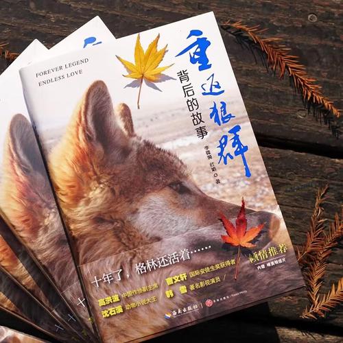 狼群影院网在线观看 - 最新热门电影电视剧免费高清资源，全网影视在线极速播放