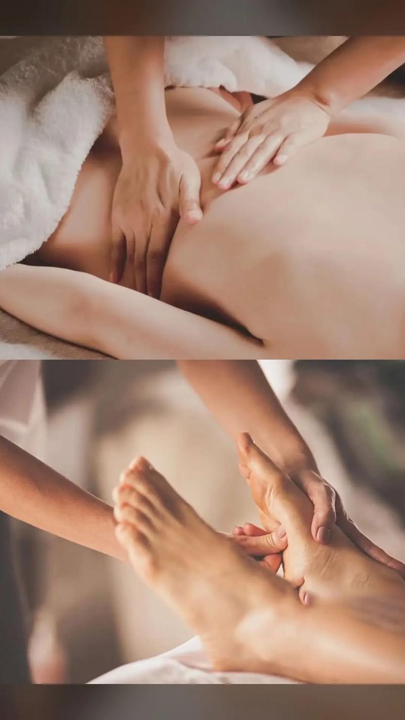 av黑丝袜黄片的相关介绍