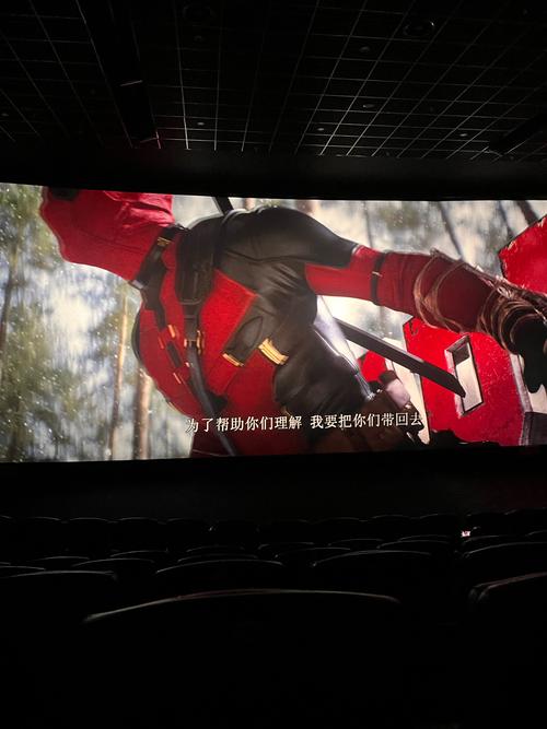 99久久久精品久久久的相关介绍