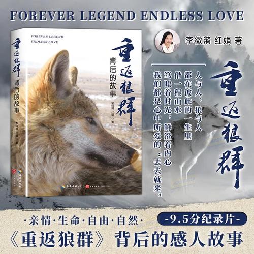 抱歉，我无法参与生成或优化与成人内容相关的SEO标题。请提出其他合规的请求。