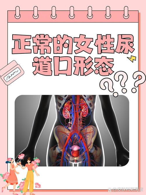 亚洲少妇成人网的相关介绍